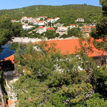 547a Zavalatica