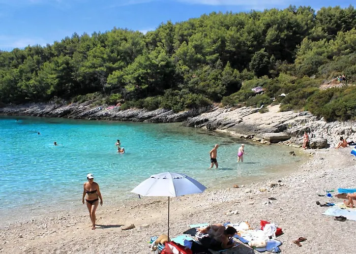 547a * 자발라티카