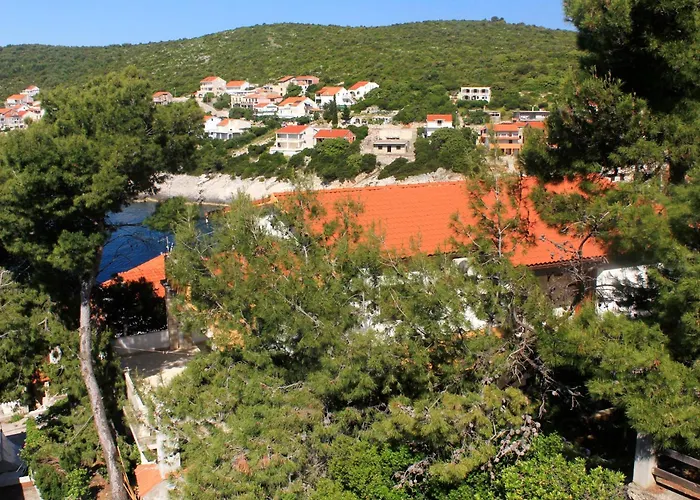 547a 자발라티카